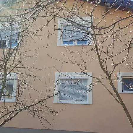 Eco